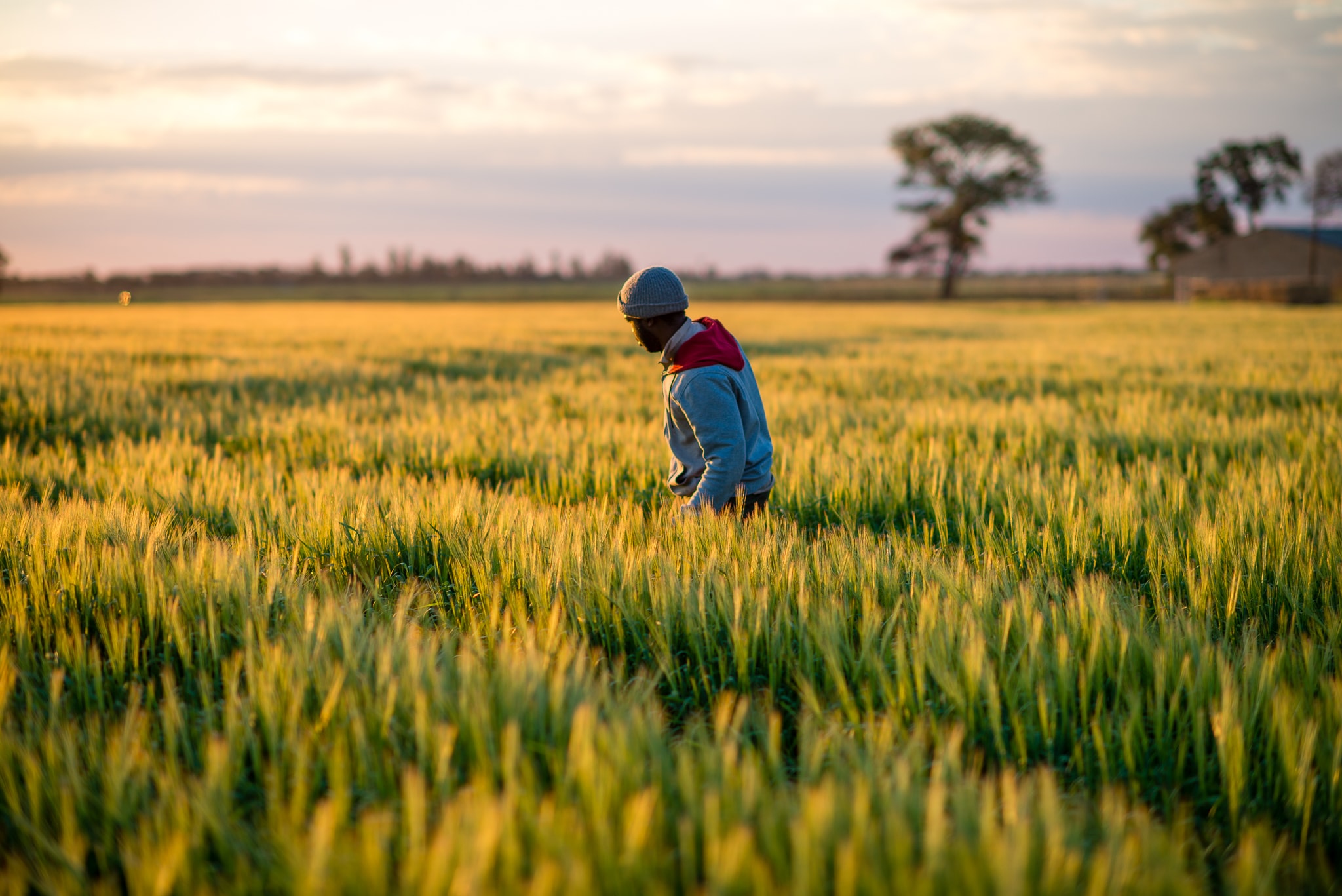 Farm Walks